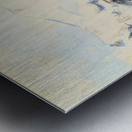 Paul Cézanne 45 Metal print