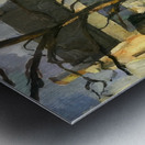 Paul Cézanne 12 Metal print