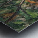 Paul Cézanne 32 Metal print