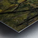 Paul Cézanne 46 Metal print