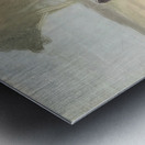 Clarice Beckett 13 Metal print