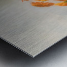 Clarice Beckett 37 Metal print