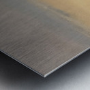 Clarice Beckett 43 Metal print