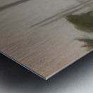 Clarice Beckett 44 Metal print