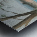 Clarice Beckett 5 Metal print