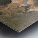 Manly Edward MacDonald   17 Metal print