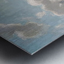 Manly Edward MacDonald   21 Metal print