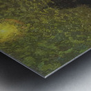 Manly Edward MacDonald   30 Metal print