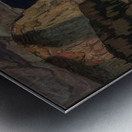 Manly Edward MacDonald   34 Metal print