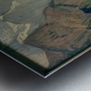 Manly Edward MacDonald   35 Metal print