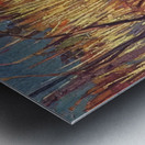 Manly Edward MacDonald   37 Metal print