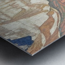 Manly Edward MacDonald   38 Metal print