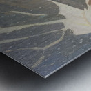 Manly Edward MacDonald   39 Metal print