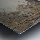 Manly Edward MacDonald   3 Metal print