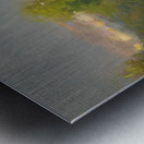 Manly Edward MacDonald   7 Metal print