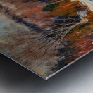 Manly Edward MacDonald   16 Metal print