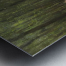 Manly Edward MacDonald   19 Metal print