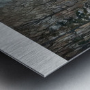 Manly Edward MacDonald   20 Metal print