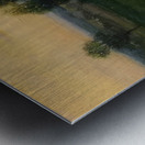 Manly Edward MacDonald   38 Metal print