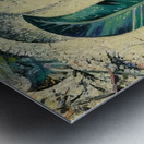 Manly Edward MacDonald   44 Metal print