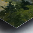 Manly Edward MacDonald   45 Metal print