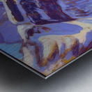 Manly Edward MacDonald   46 Metal print