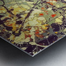 Jackson Pollock 24 Metal print