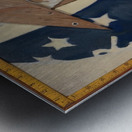 Arthur Dove 4 Metal print