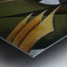 Arthur Dove 12 Metal print