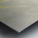 Arthur Dove 14 Metal print