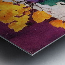 Augusto Giacometti 14 Metal print