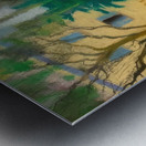 Augusto Giacometti 23 Metal print