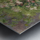 Augusto Giacometti 30 Metal print