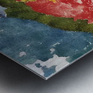 Augusto Giacometti 11 Metal print