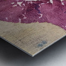 Augusto Giacometti 13 Metal print