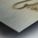 Augusto Giacometti 4 Metal print