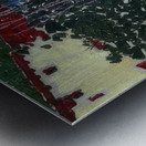 Augusto Giacometti 18 Metal print