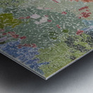 Augusto Giacometti 39 Metal print