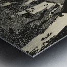 Augusto Giacometti 8 Metal print