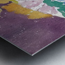 Augusto Giacometti 21 Metal print