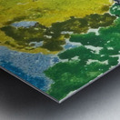 Augusto Giacometti 9 Metal print