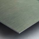 Granville Redmond 14 Metal print