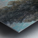 Granville Redmond 36 Metal print