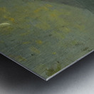 Granville Redmond 50 Metal print