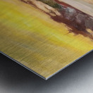 Alson Skinner Clark 12 Metal print