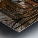 Alson Skinner Clark 15 Metal print