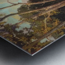 Franz Bischoff 17 Metal print