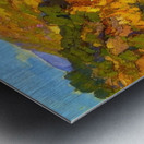 Franz Bischoff 29 Metal print