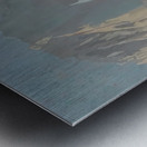 Franz Bischoff 31 Metal print