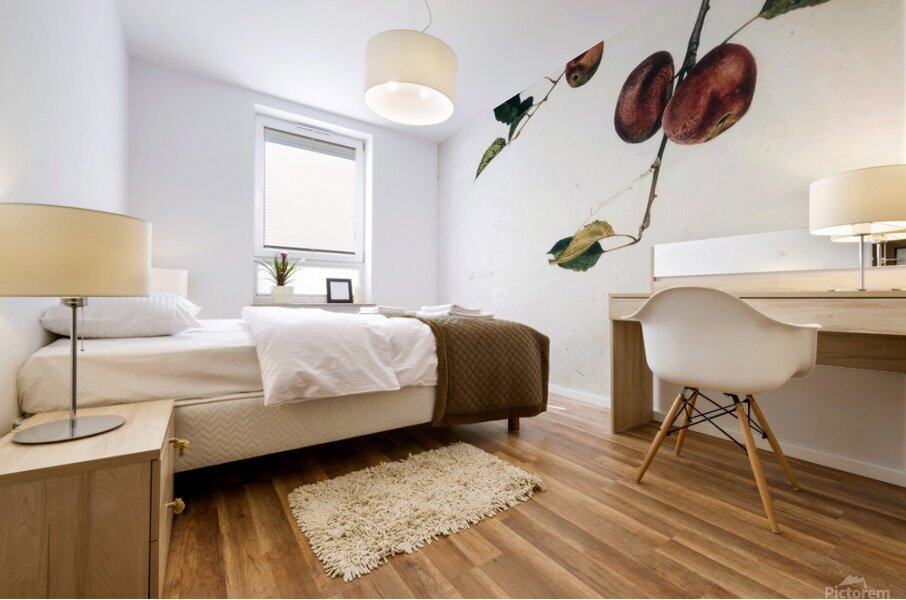 Apples on a Bough Study Before Picking   Contempo - Andrew Wyeth Mural print